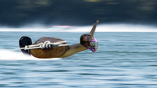于彼此