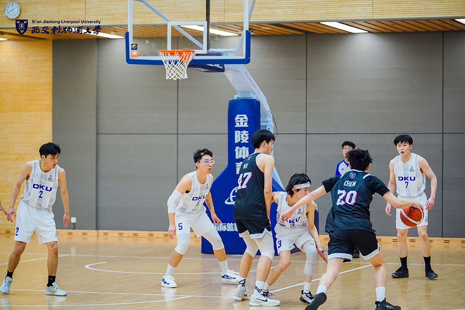 的换向蛇